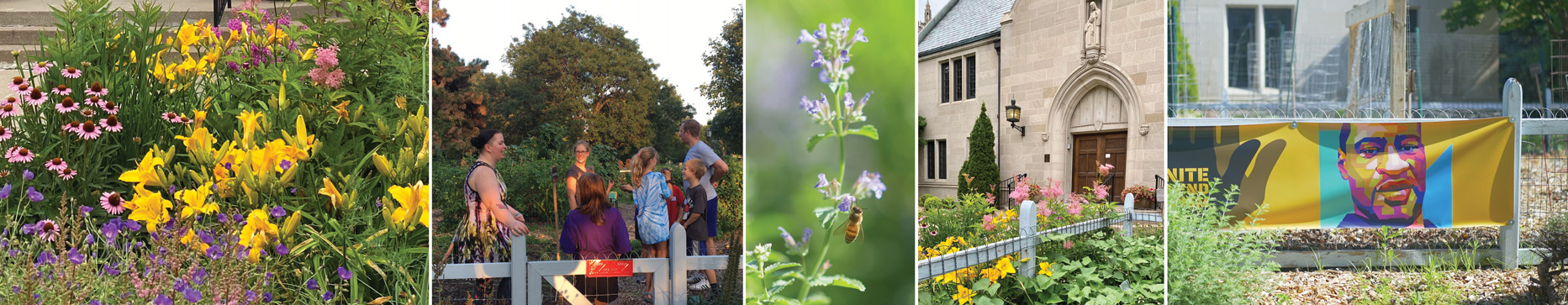 House of Hope Community Garden