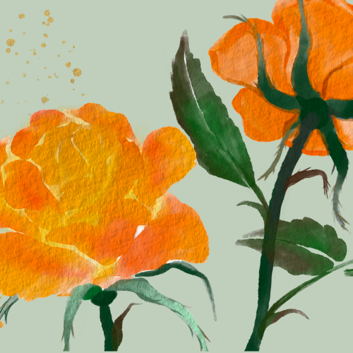 Orange flowers illustration for Season Opener: Fiesta